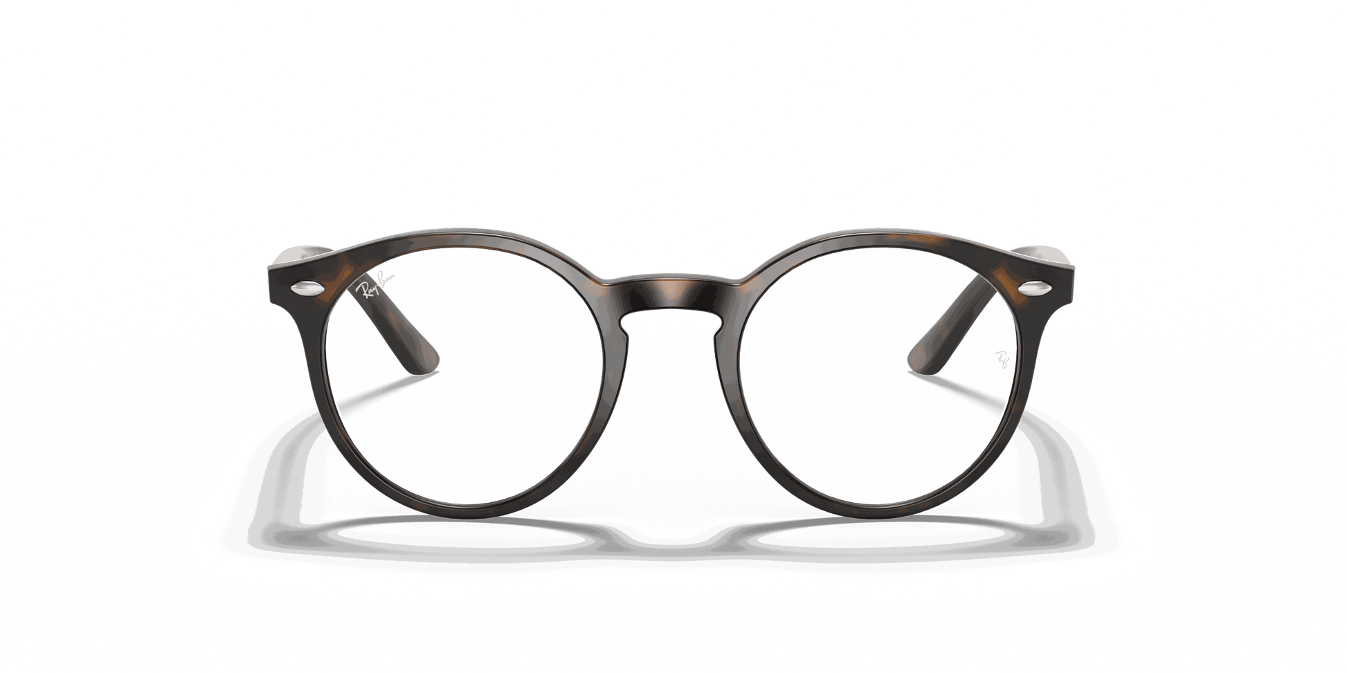 [Clear Lenses, Polished Havana Frame]