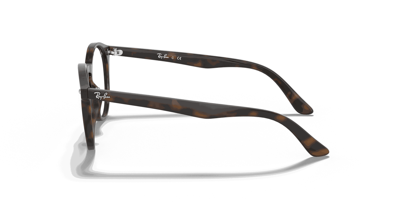 [Clear Lenses, Polished Havana Frame]