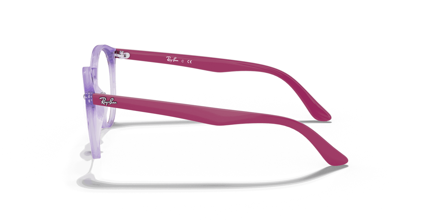[Clear Lenses, Polished Transparent Violet Frame]