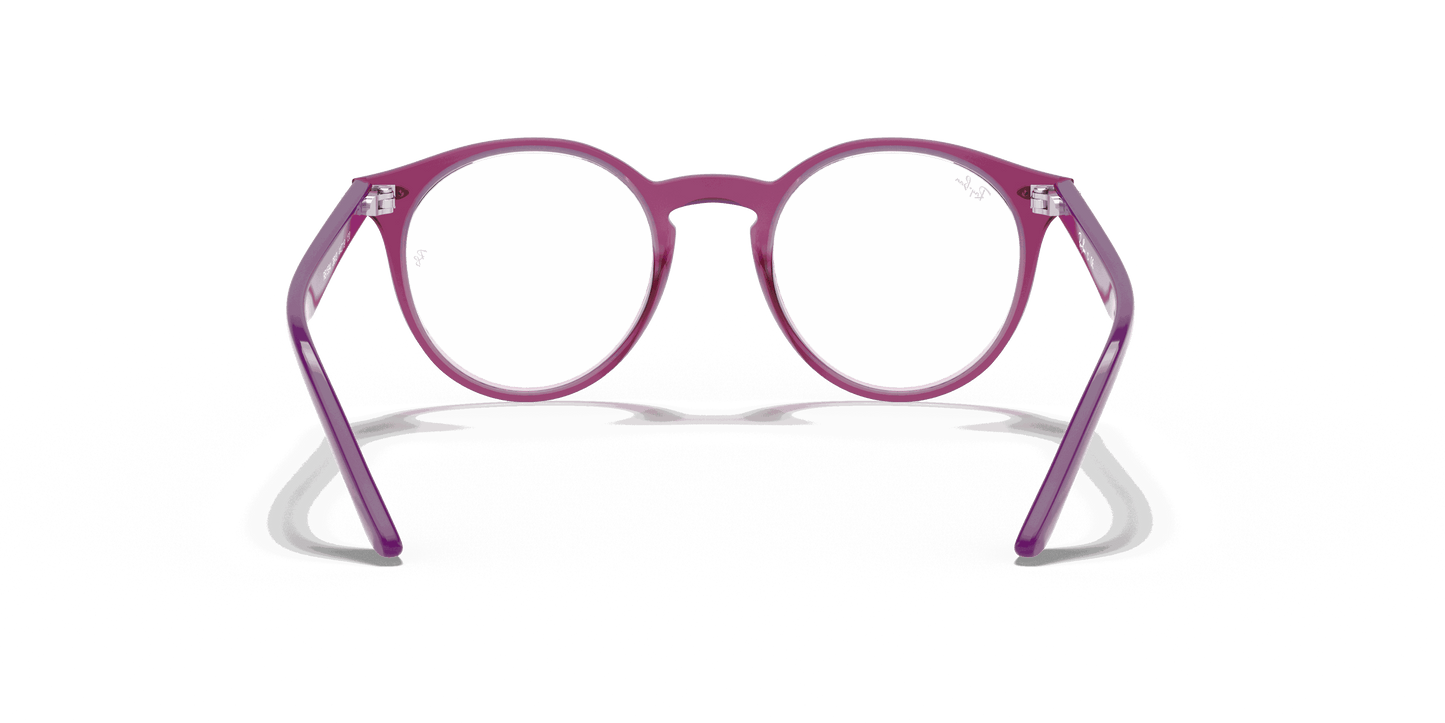 [Clear Lenses, Polished Transparent Fuxia Frame]