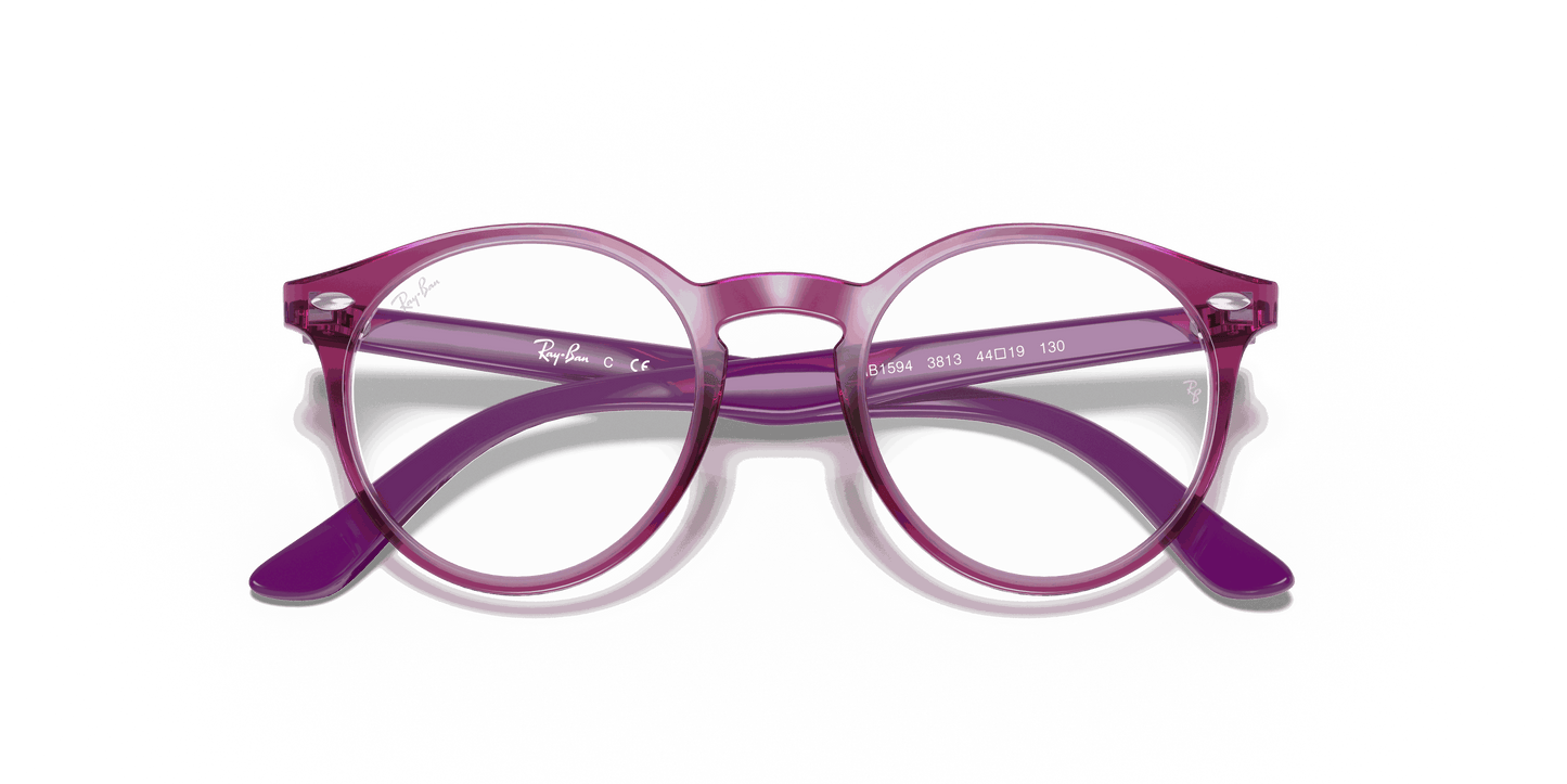 [Clear Lenses, Polished Transparent Fuxia Frame]