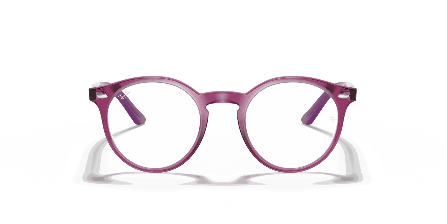 [Clear Lenses, Polished Transparent Fuxia Frame]