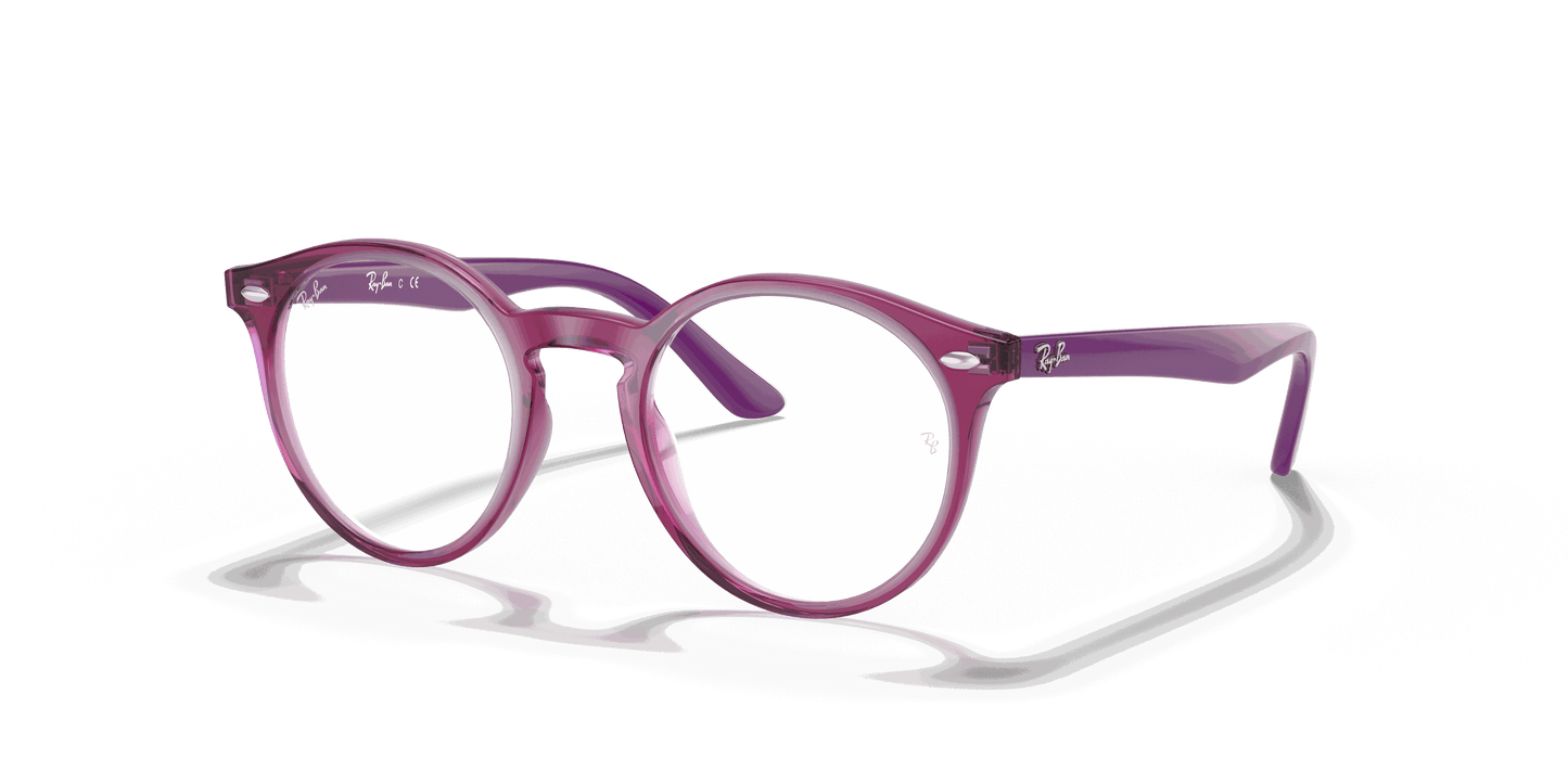 [Clear Lenses, Polished Transparent Fuxia Frame]