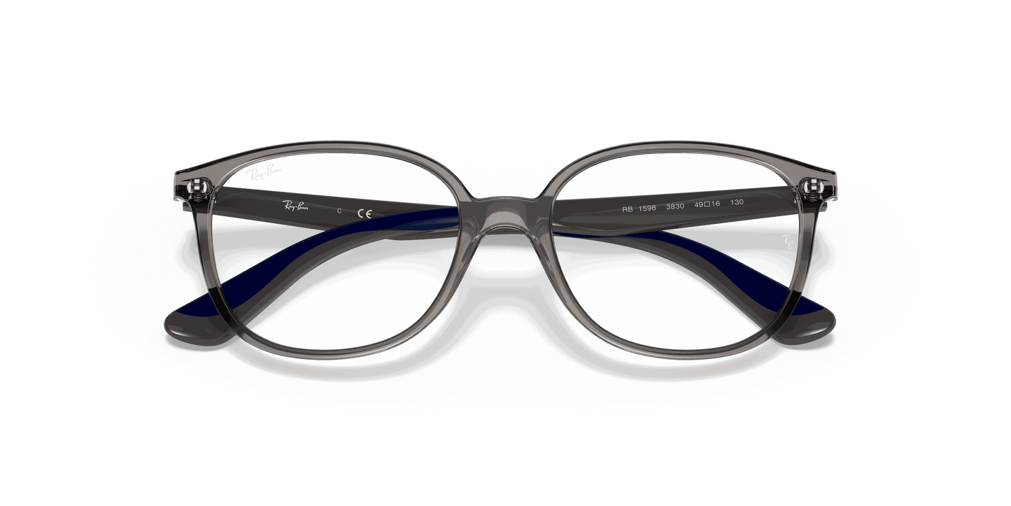 [Clear Lenses, Polished Transparent Grey Frame]