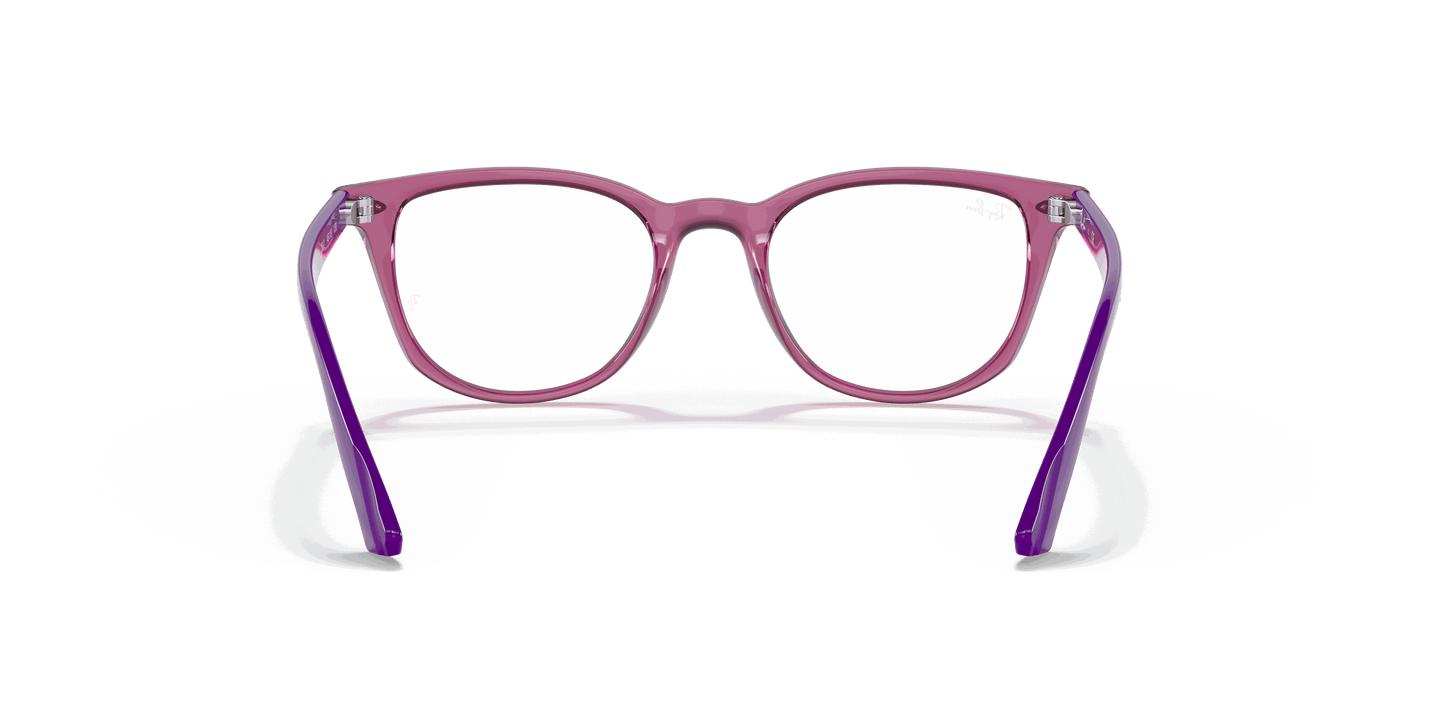 [Clear Lenses, Polished Transparent Fuxia Frame]