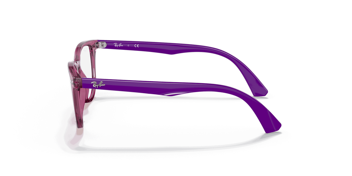 [Clear Lenses, Polished Transparent Fuxia Frame]