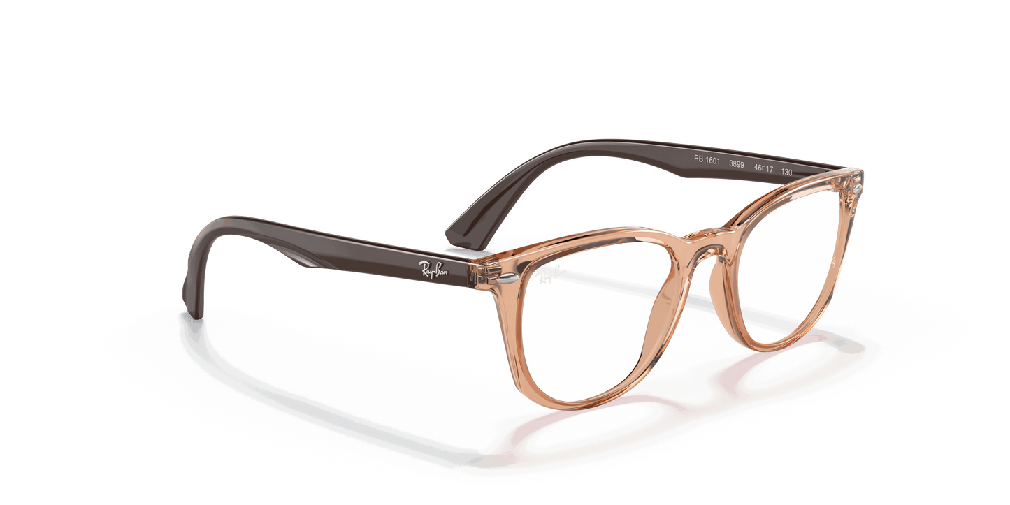 [Clear Lenses, Polished Transparent Brown Frame]