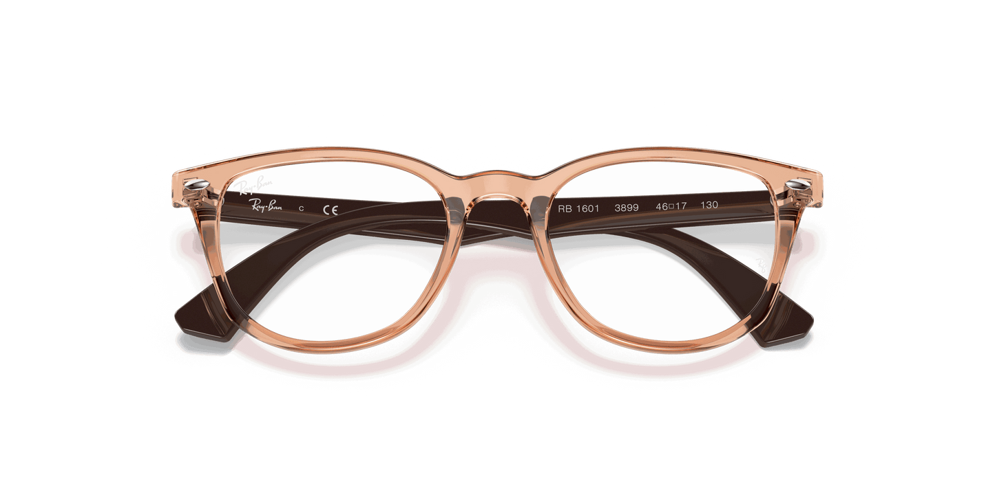 [Clear Lenses, Polished Transparent Brown Frame]
