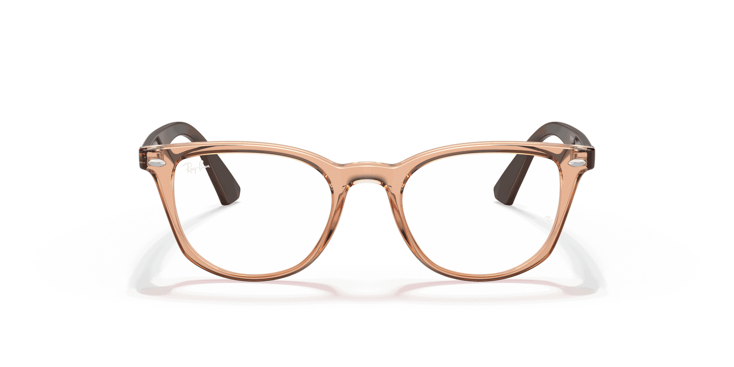 [Clear Lenses, Polished Transparent Brown Frame]