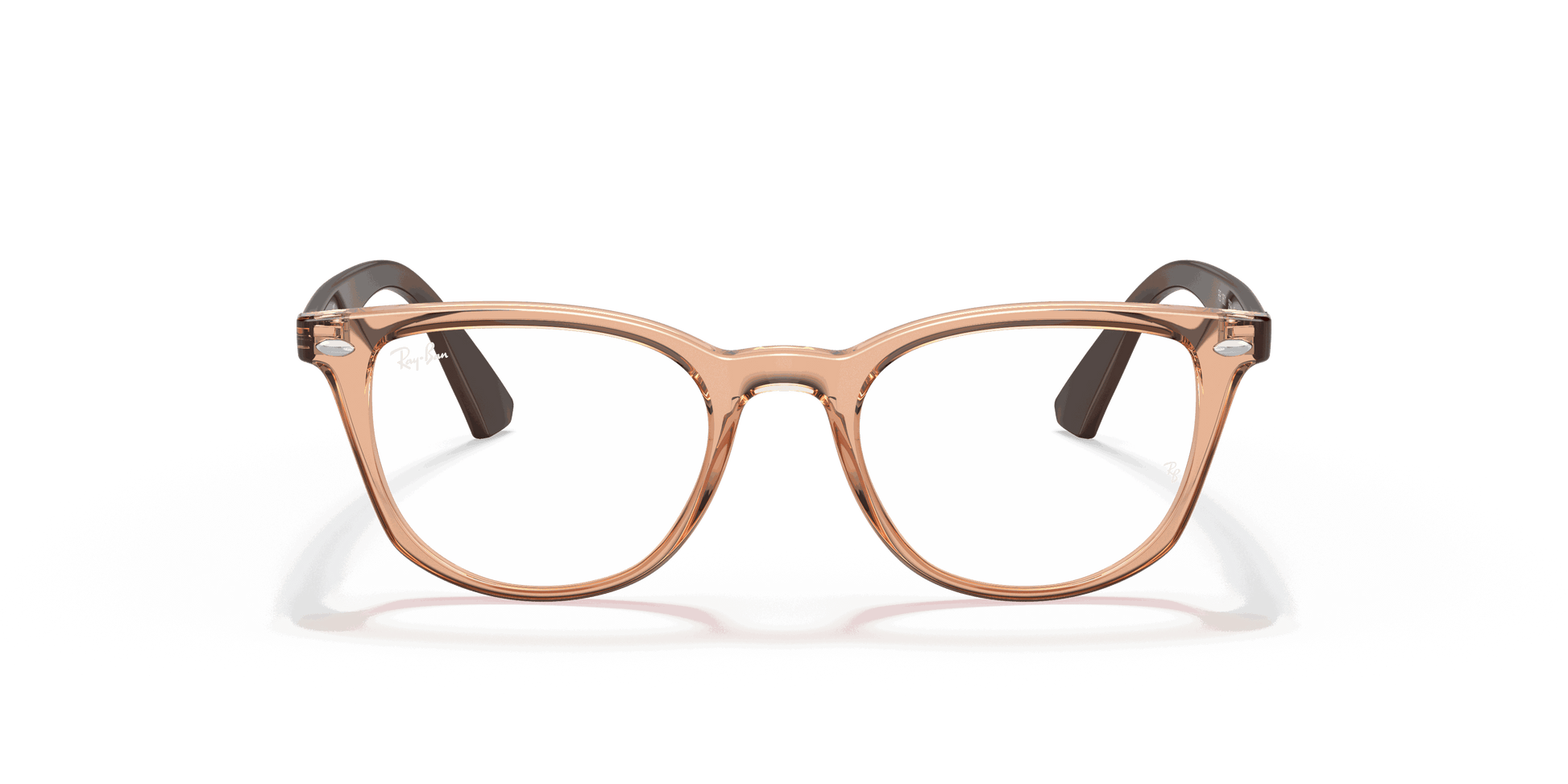 [Clear Lenses, Polished Transparent Brown Frame]