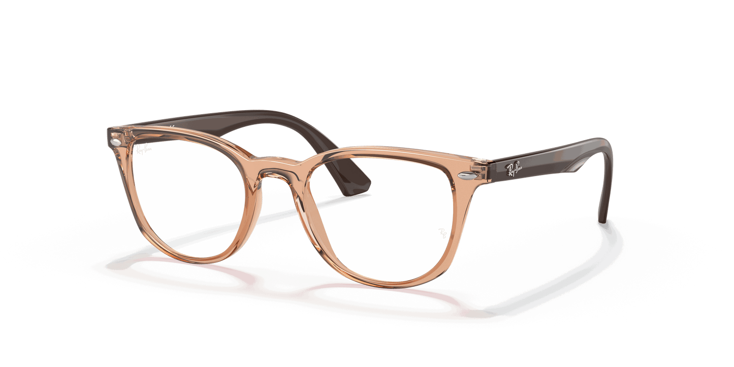 [Clear Lenses, Polished Transparent Brown Frame]