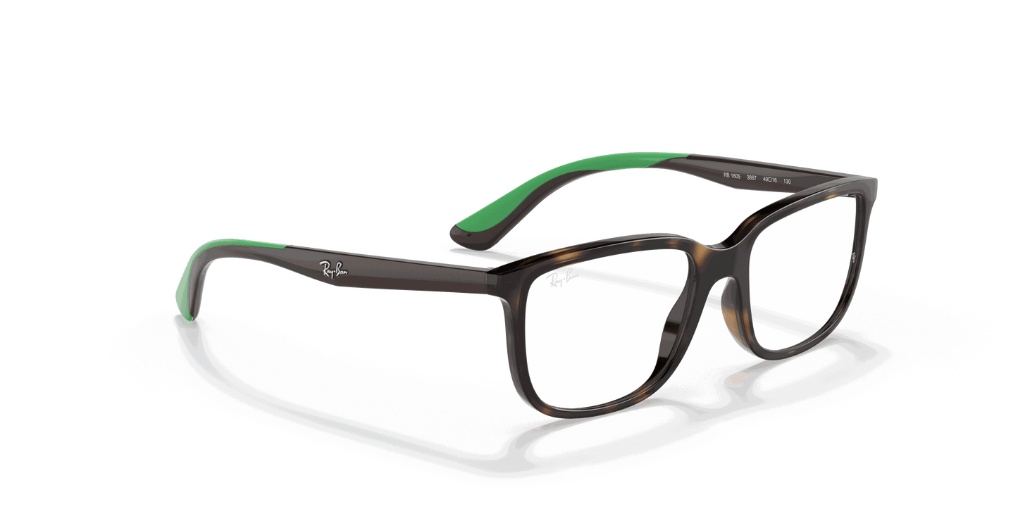 [Clear Lenses, Polished Havana Frame]
