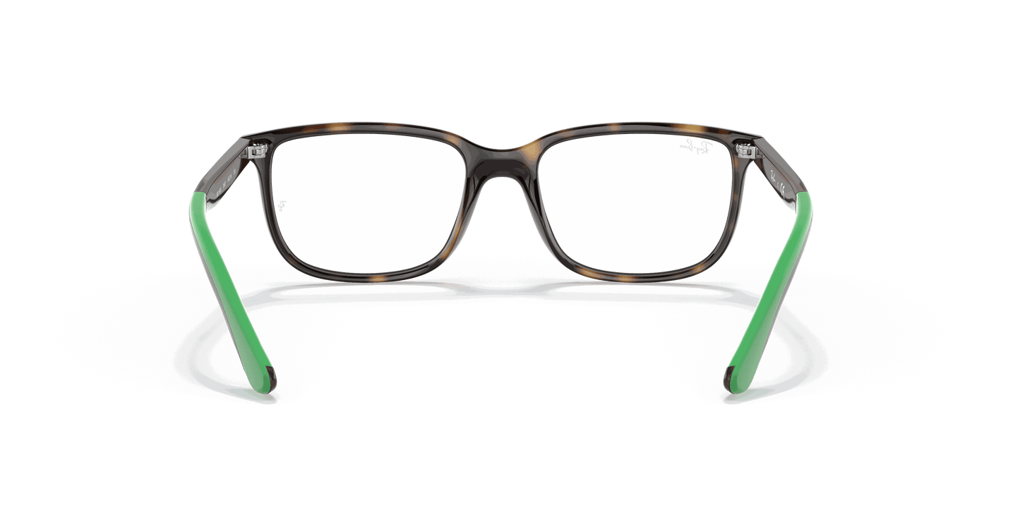 [Clear Lenses, Polished Havana Frame]