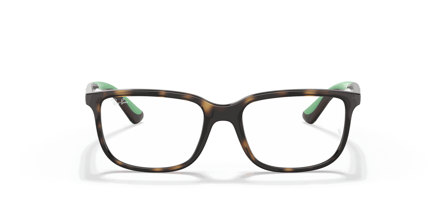 [Clear Lenses, Polished Havana Frame]