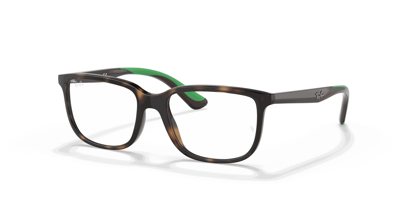 [Clear Lenses, Polished Havana Frame]