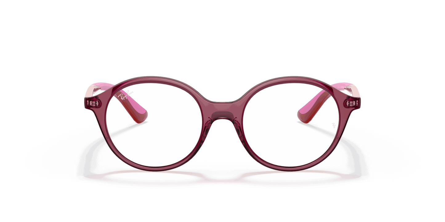 [Clear Lenses, Polished Transparent Pink Frame]
