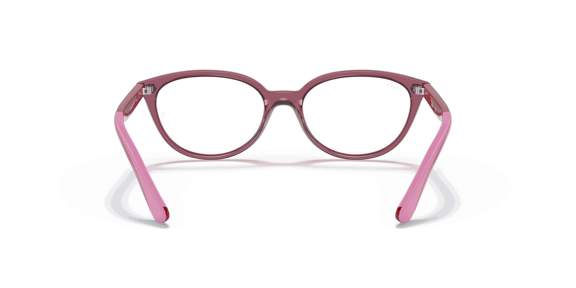 [Clear Lenses, Polished Transparent Pink Frame]