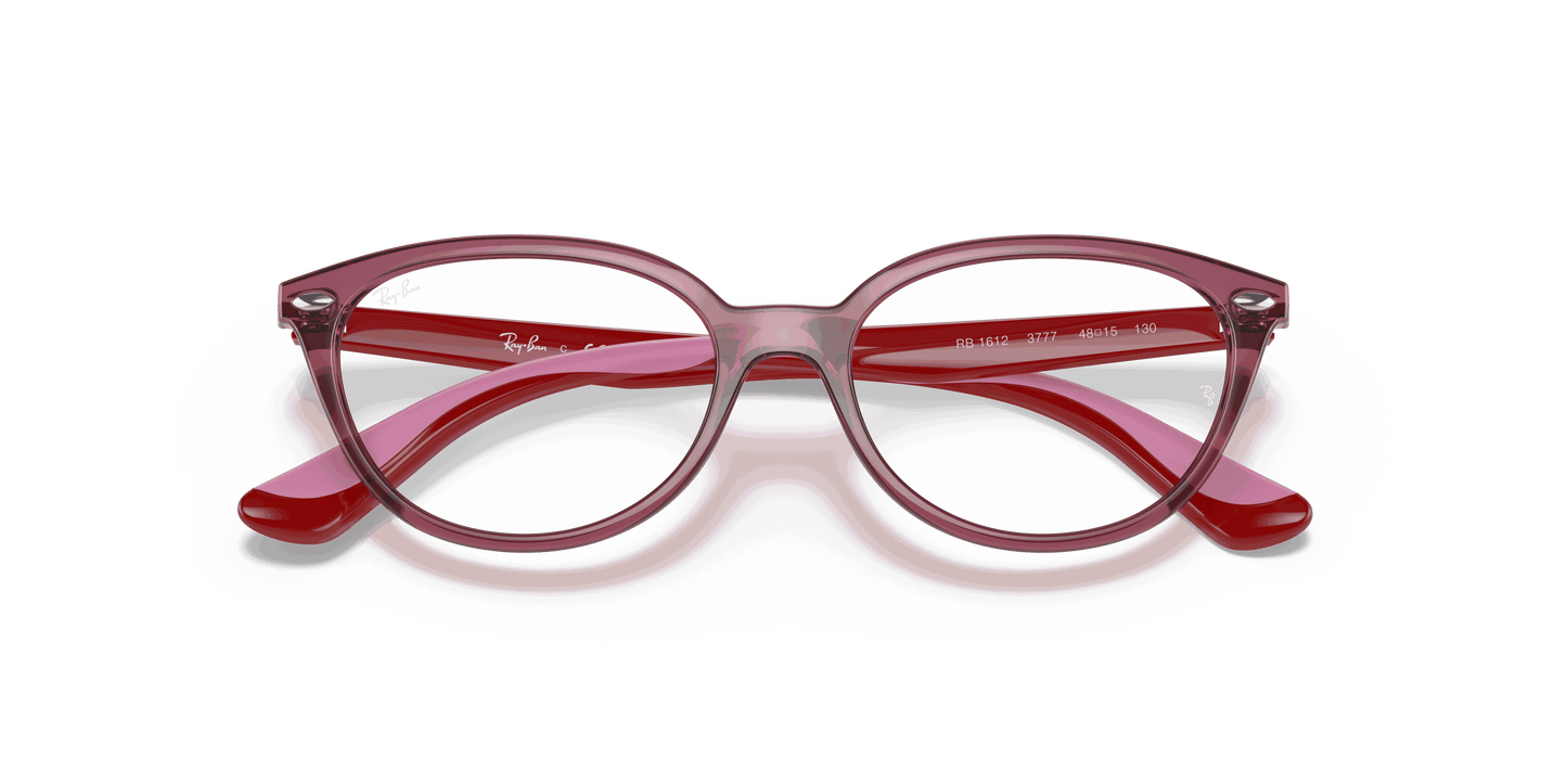 [Clear Lenses, Polished Transparent Pink Frame]