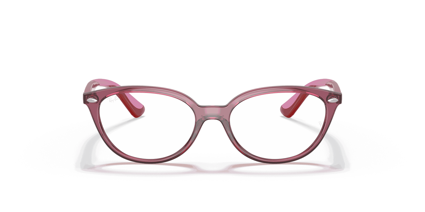 [Clear Lenses, Polished Transparent Pink Frame]