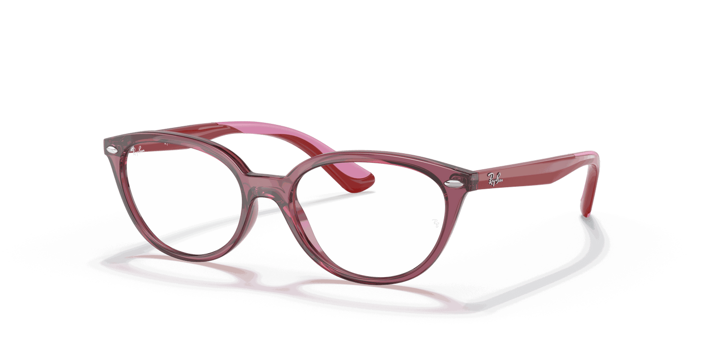 [Clear Lenses, Polished Transparent Pink Frame]