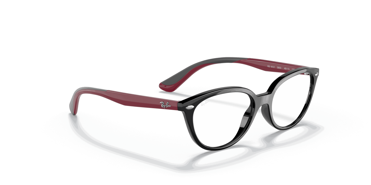 [Clear Lenses, Polished Black Frame]