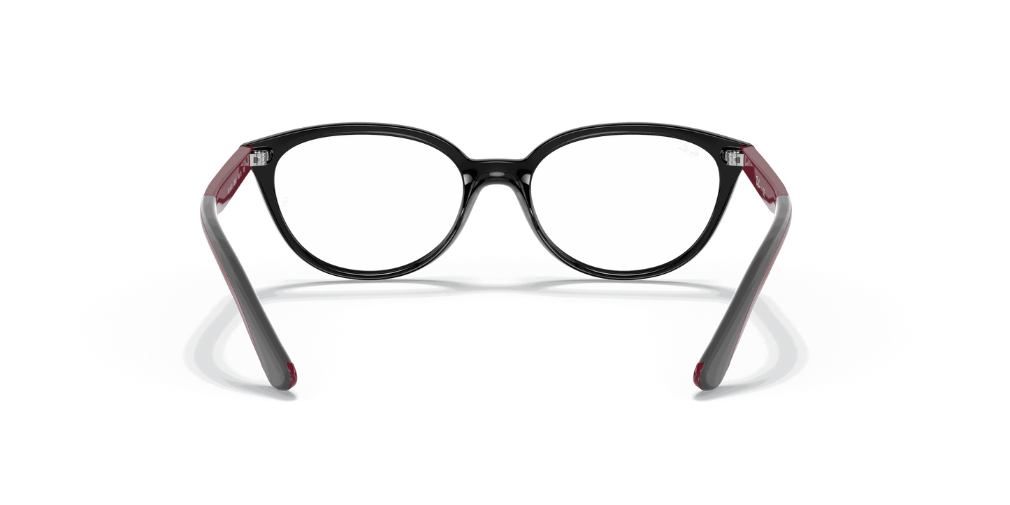 [Clear Lenses, Polished Black Frame]