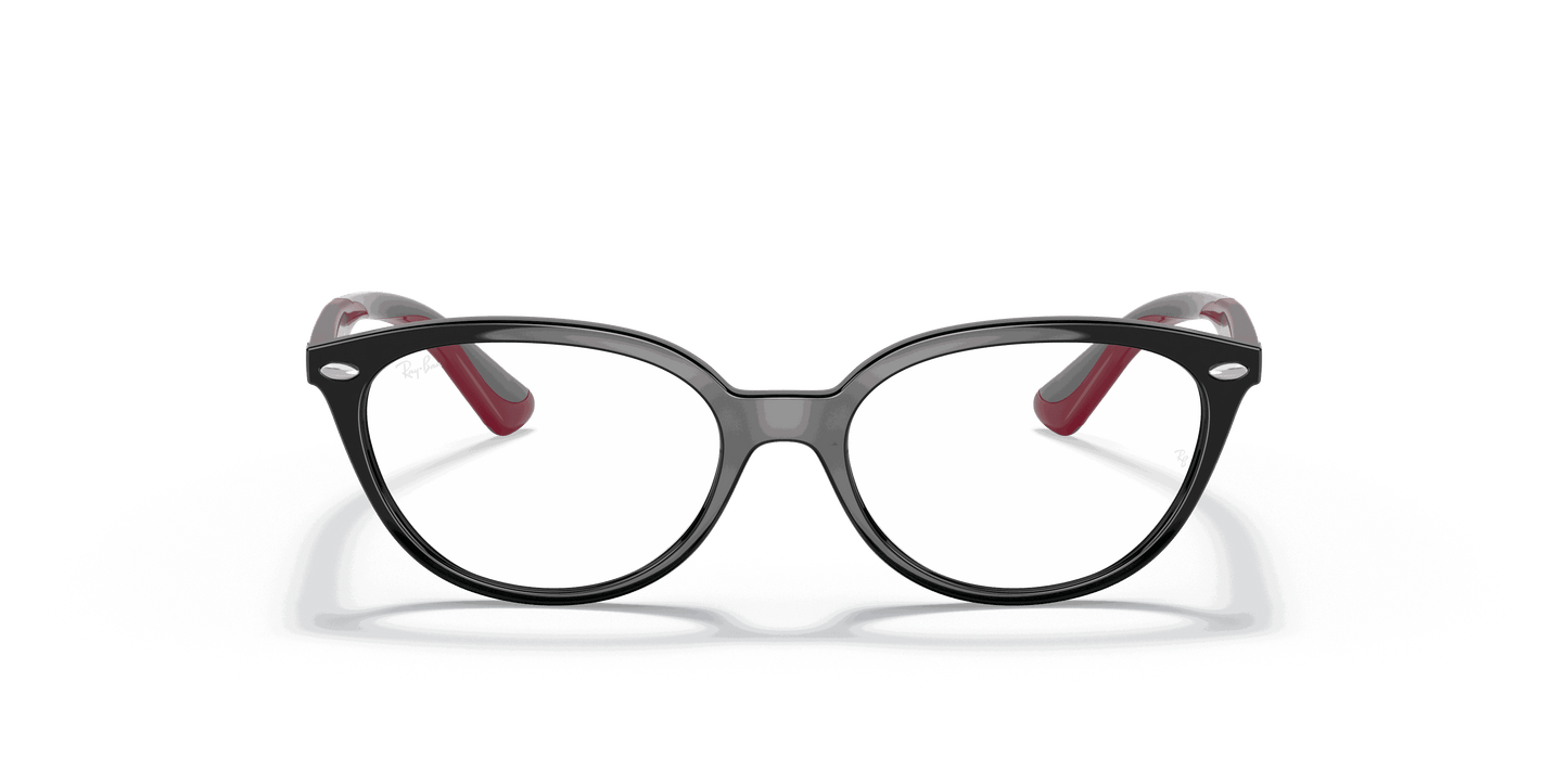 [Clear Lenses, Polished Black Frame]