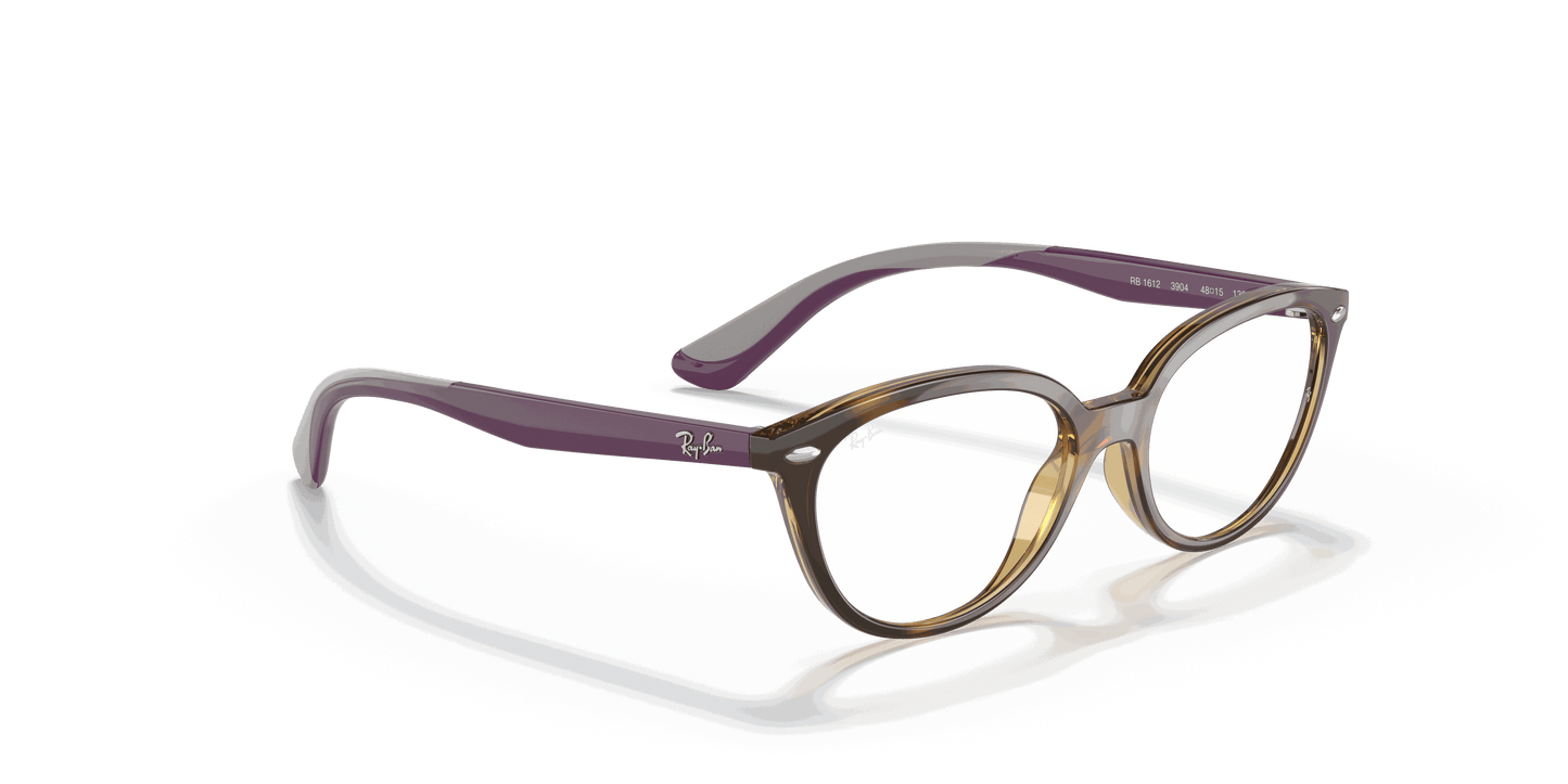 [Clear Lenses, Polished Havana Frame]