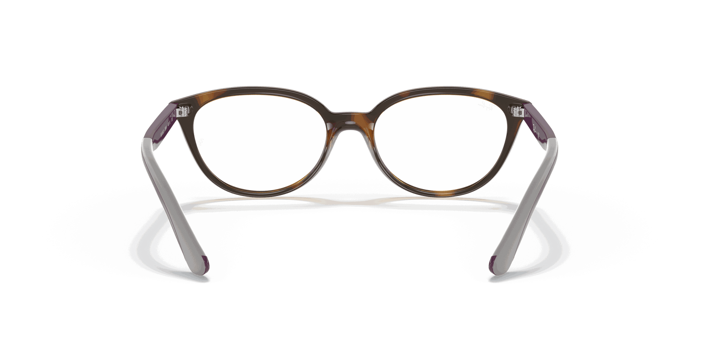 [Clear Lenses, Polished Havana Frame]