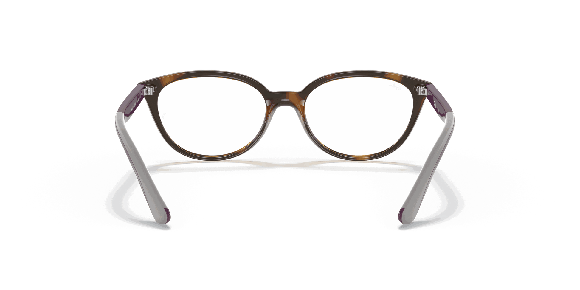 [Clear Lenses, Polished Havana Frame]