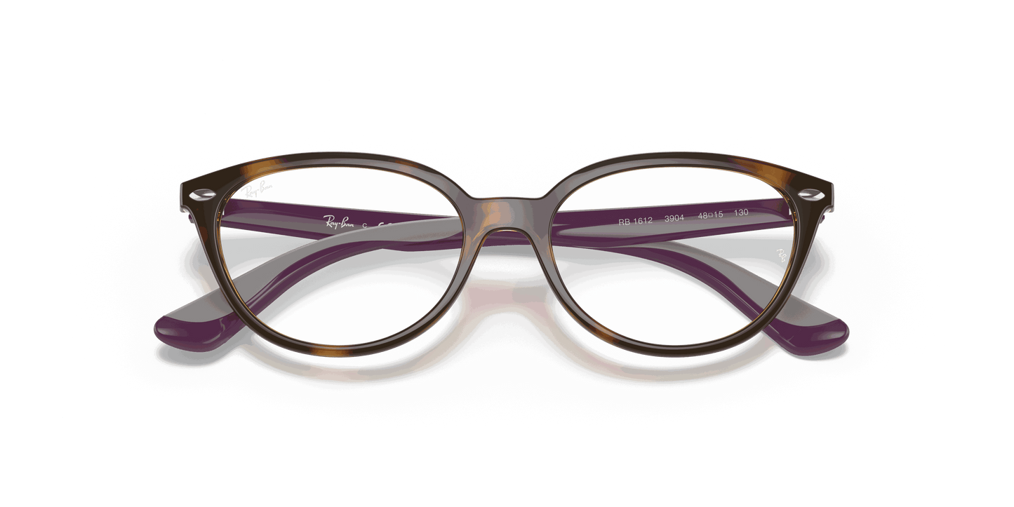 [Clear Lenses, Polished Havana Frame]