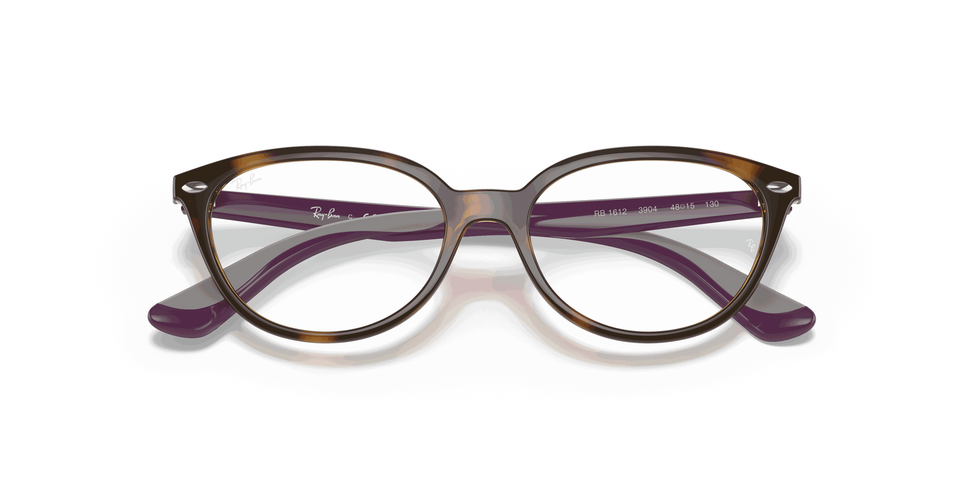 [Clear Lenses, Polished Havana Frame]