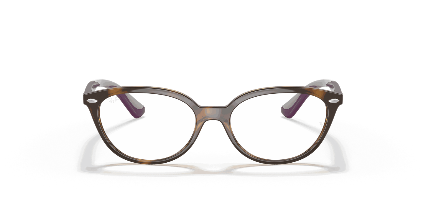 [Clear Lenses, Polished Havana Frame]
