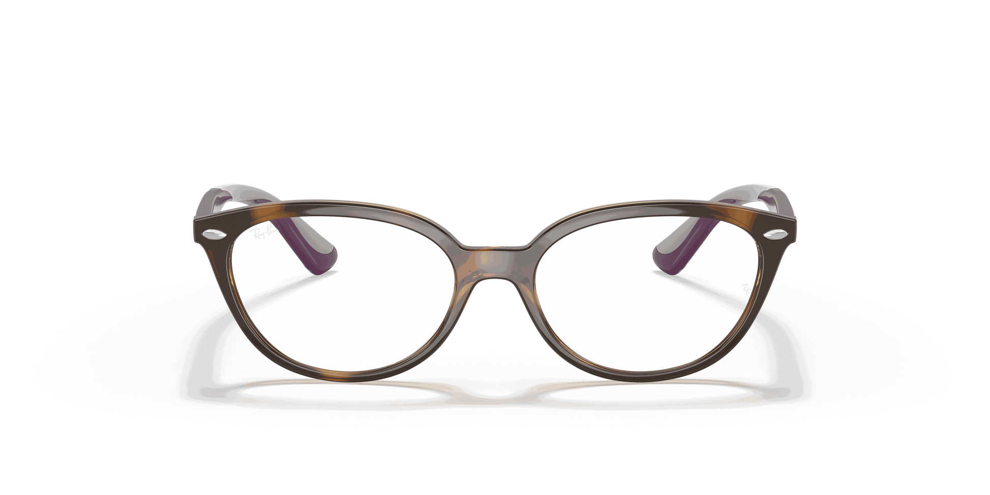[Clear Lenses, Polished Havana Frame]