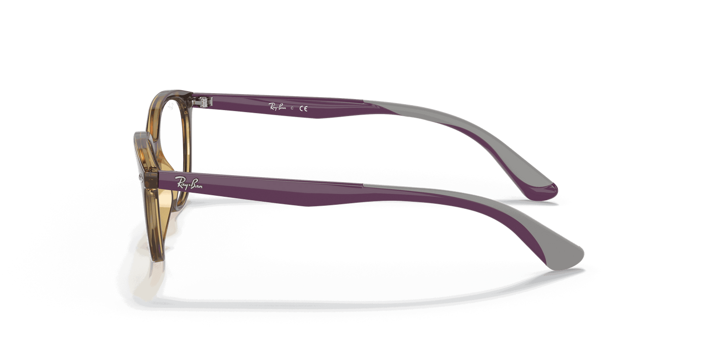 [Clear Lenses, Polished Havana Frame]