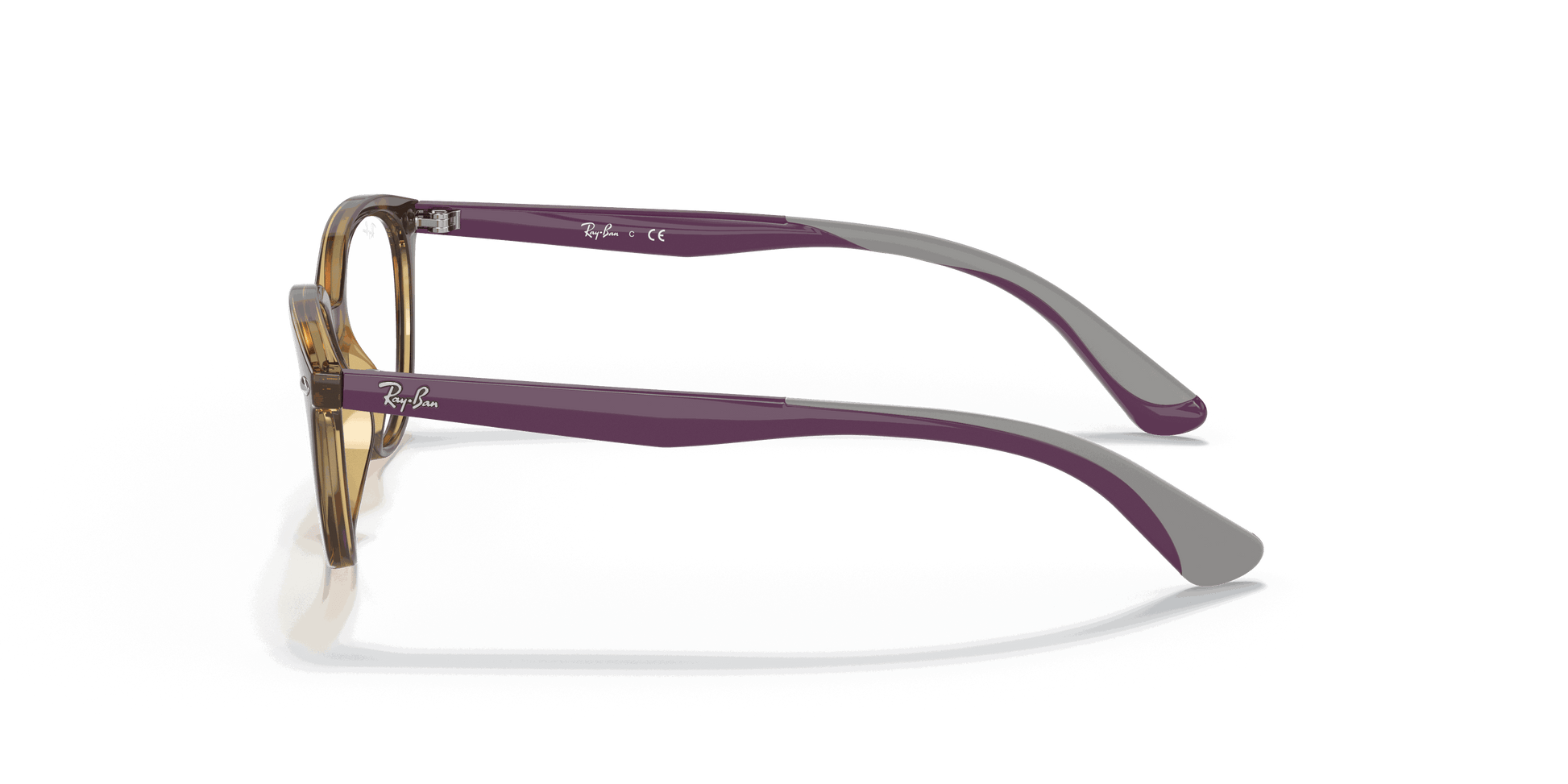 [Clear Lenses, Polished Havana Frame]