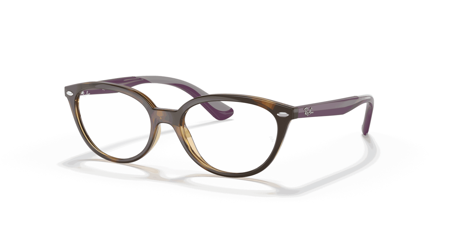 [Clear Lenses, Polished Havana Frame]