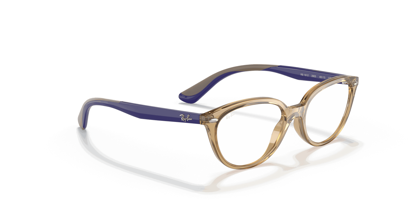 [Clear Lenses, Polished Transparent Light Brown Frame]