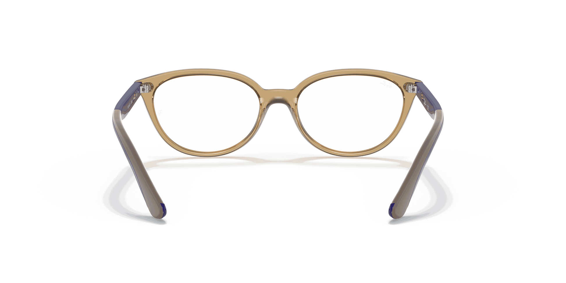 [Clear Lenses, Polished Transparent Light Brown Frame]