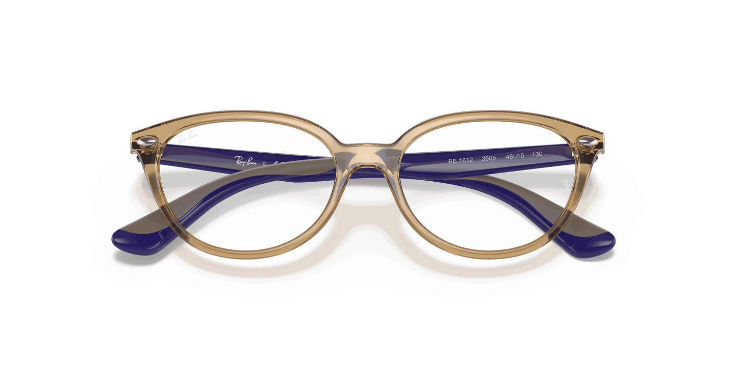 [Clear Lenses, Polished Transparent Light Brown Frame]