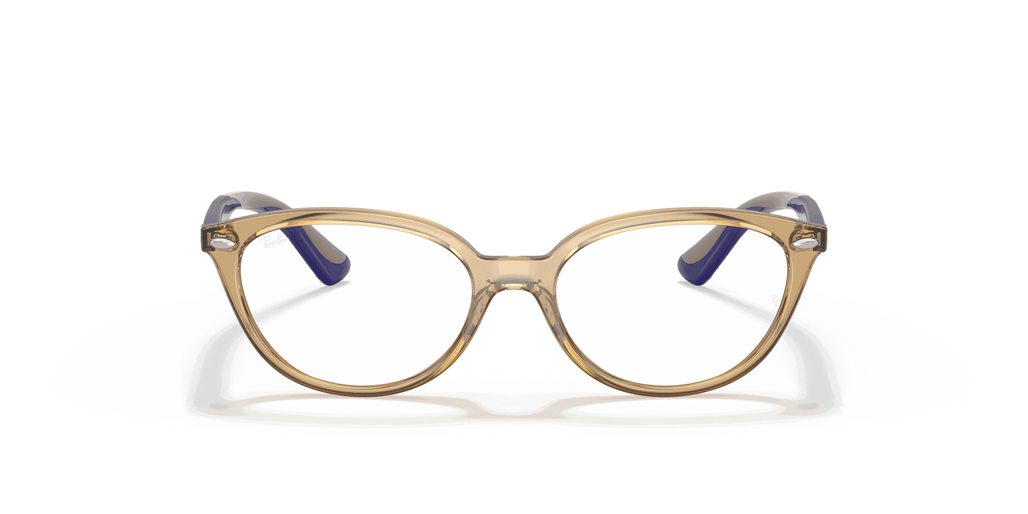[Clear Lenses, Polished Transparent Light Brown Frame]