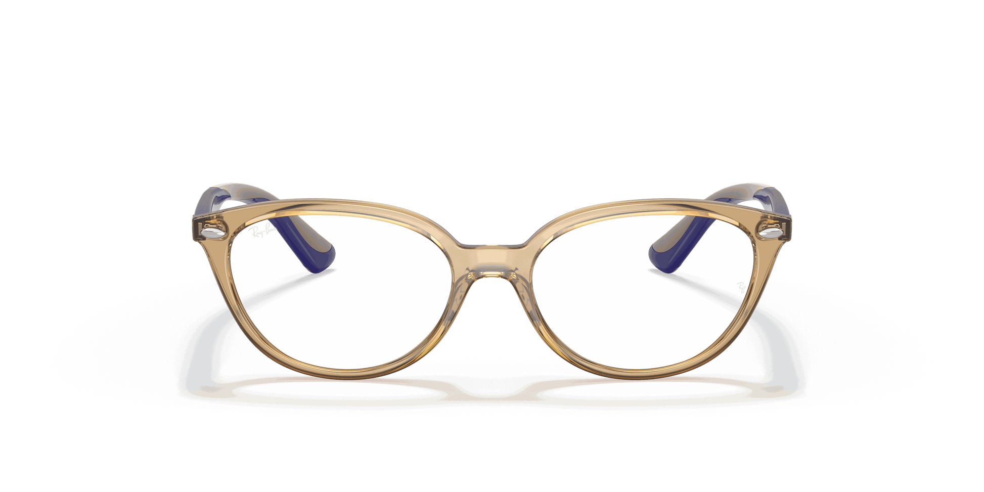 [Clear Lenses, Polished Transparent Light Brown Frame]