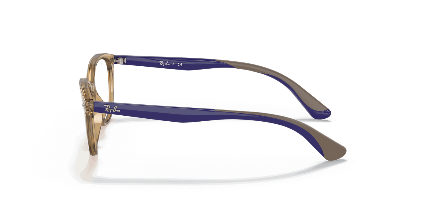 [Clear Lenses, Polished Transparent Light Brown Frame]