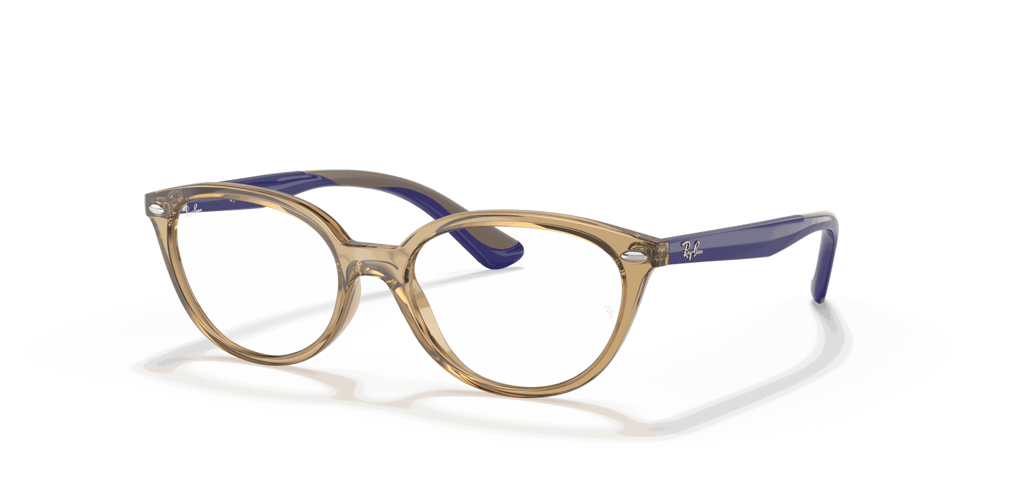 [Clear Lenses, Polished Transparent Light Brown Frame]