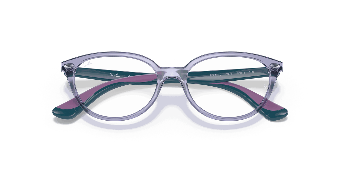 [Clear Lenses, Polished Transparent Violet Frame]