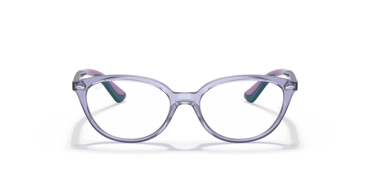 [Clear Lenses, Polished Transparent Violet Frame]