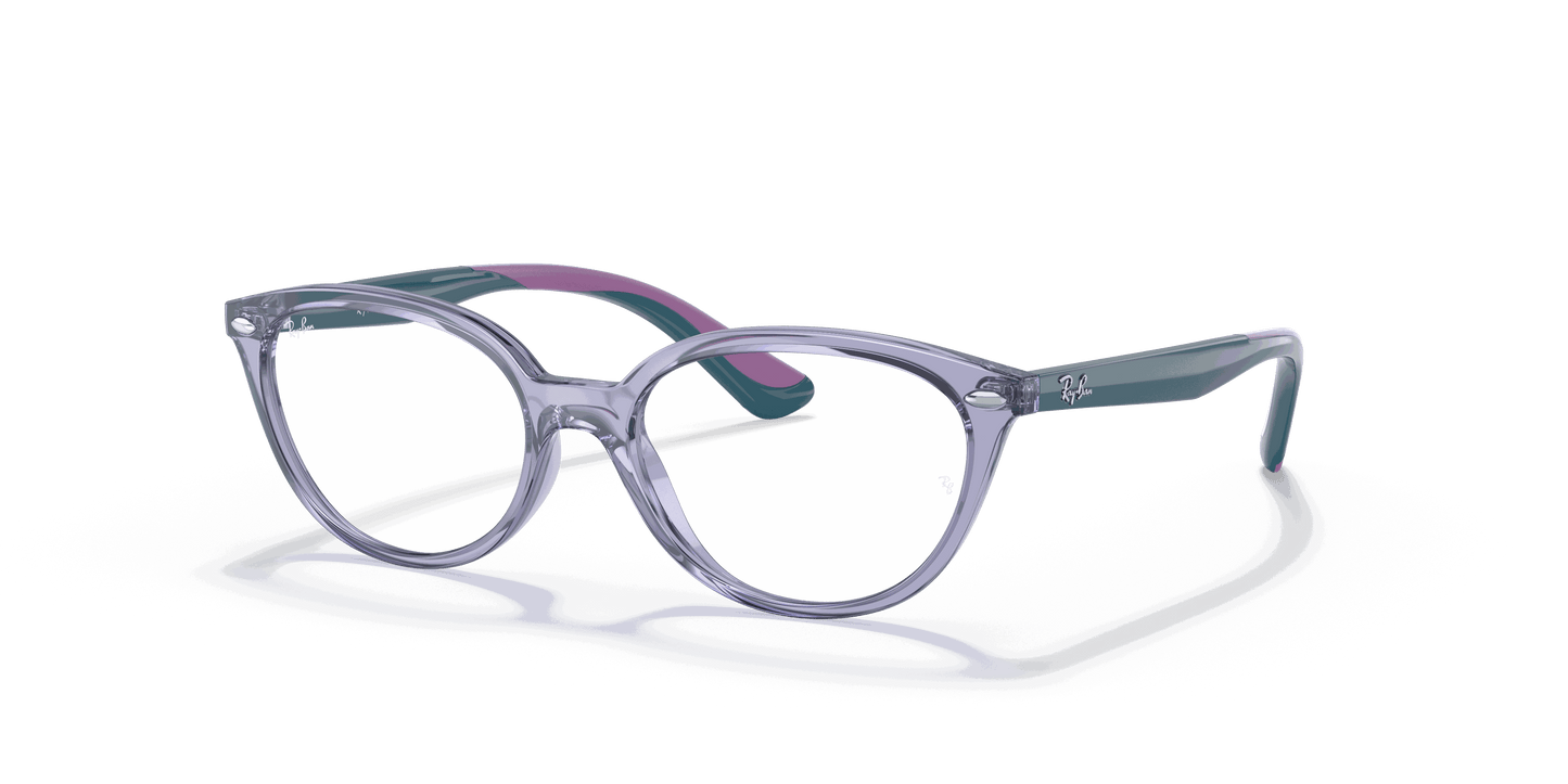 [Clear Lenses, Polished Transparent Violet Frame]