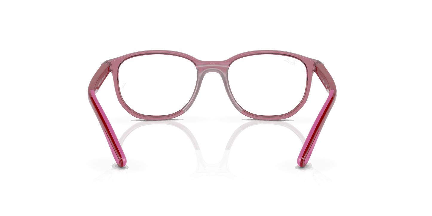 [Clear Lenses, Polished Transparent Pink Frame]
