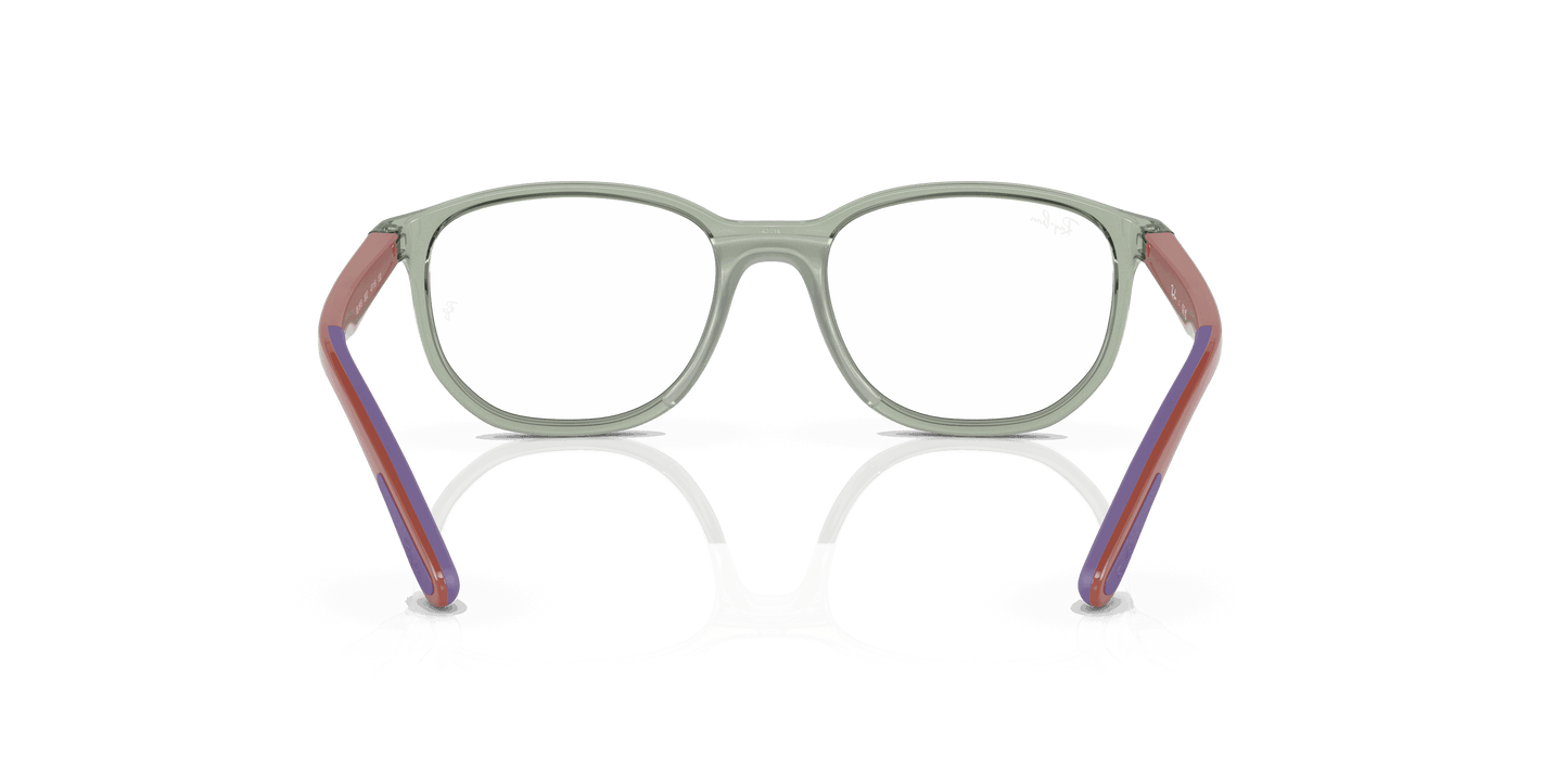 [Clear Lenses, Polished Transparent Green On Rubber Wisteria Frame]