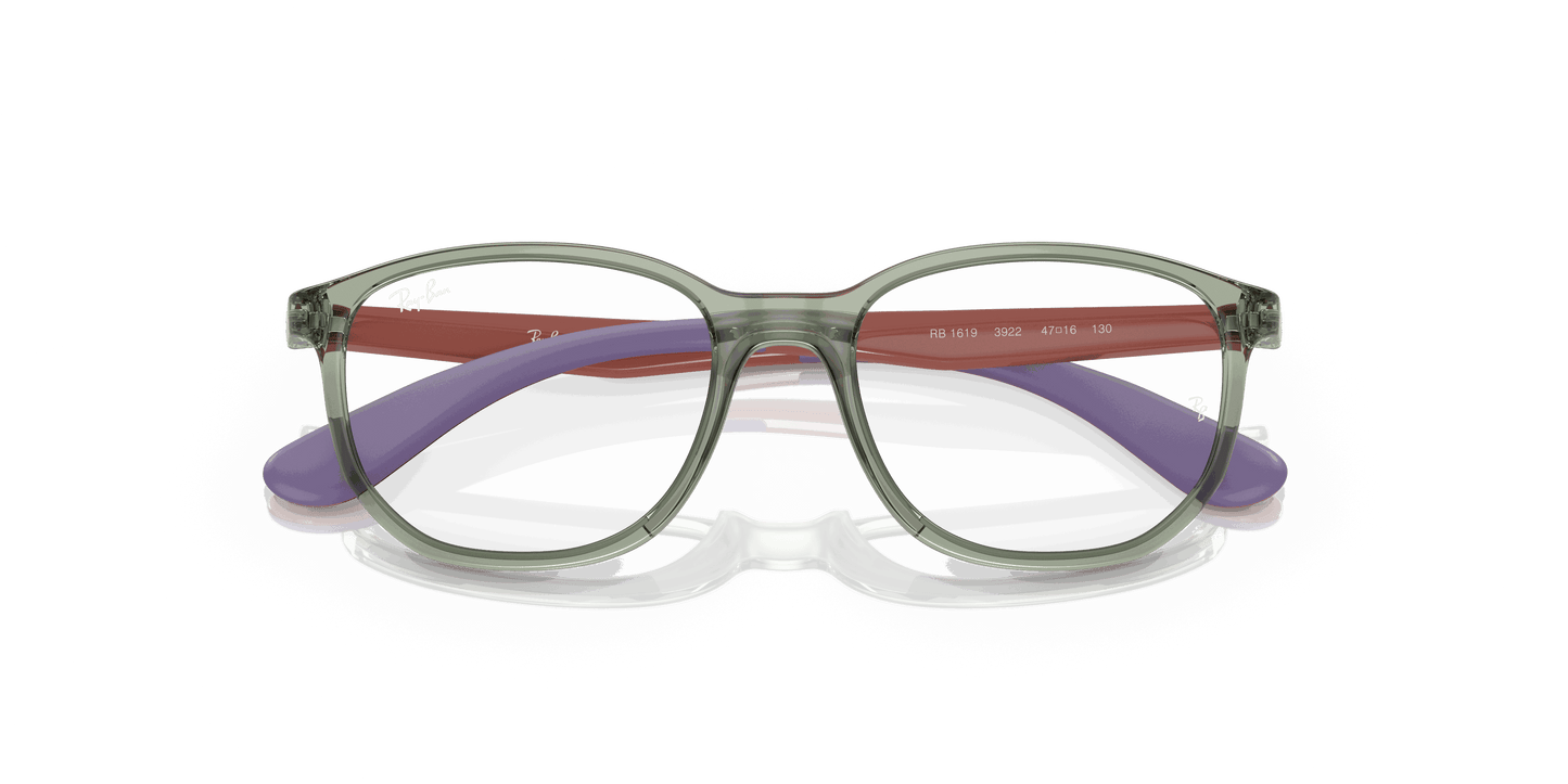 [Clear Lenses, Polished Transparent Green On Rubber Wisteria Frame]